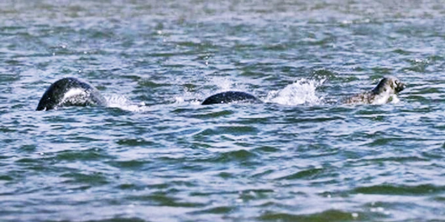 La leggenda di ‘Nessie’ il mostro del lago di Loch Ness